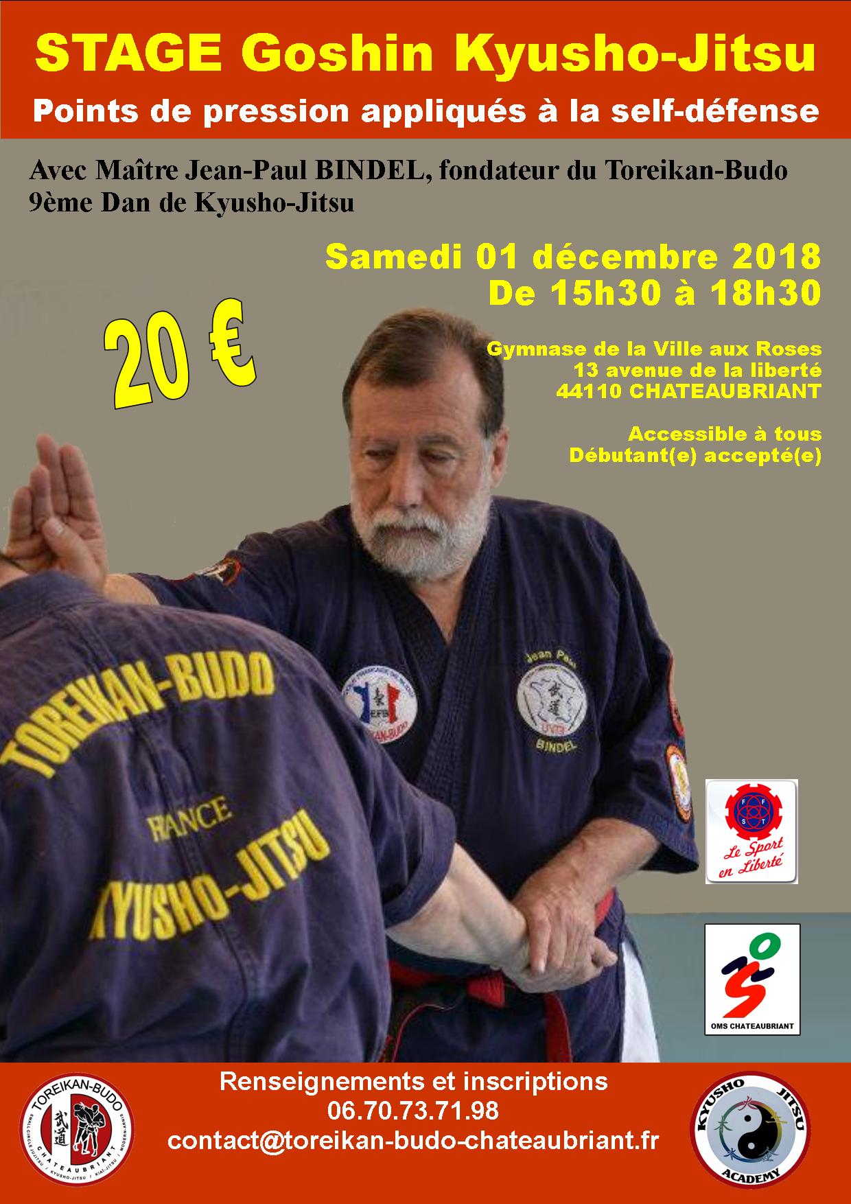 Stage Goshin-Kyusho-Jitsu avec Maître BINDEL, 9ème Dan.